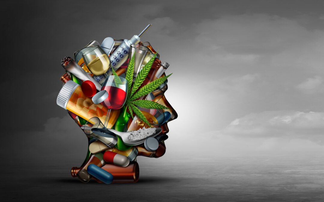 What are the Models of Addiction?